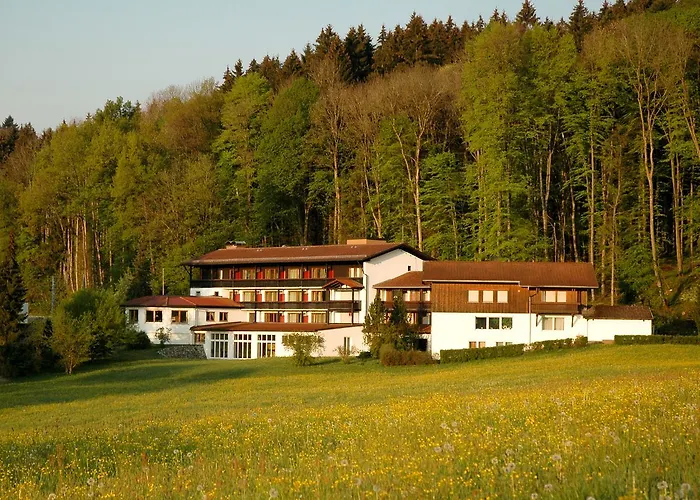 St. Ulrich Garni فندق 3*